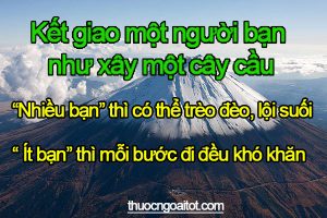 Hai cách thức tạo ra nhân quả: Người khôn xây cầu, kẻ dại dựng tường