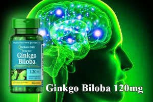 Ginkgo Biloba 120mg công dụng và những điều cần lưu ý